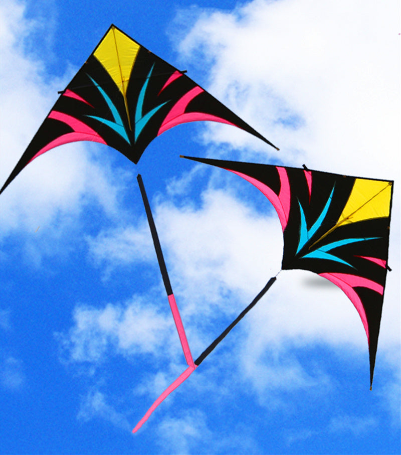 free shipping large delta kites flying for adults kites reel professional wind kites factory pocket kite sports toys Eagle kite