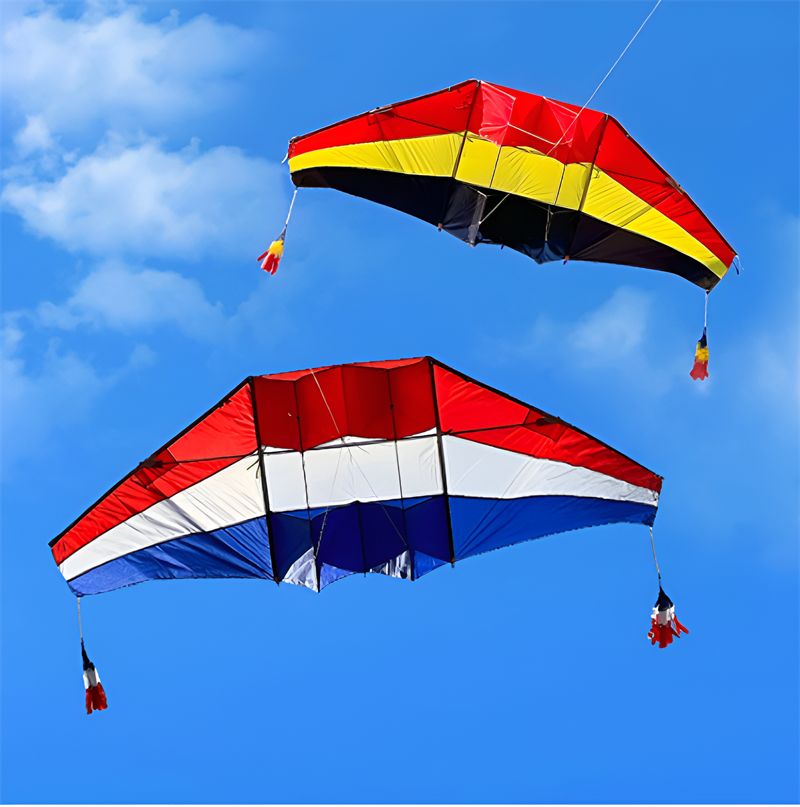 free shipping glider kites for adults kites ripstop nylon Power kite flyingbear rainbow high paper dragon snake coil cometa