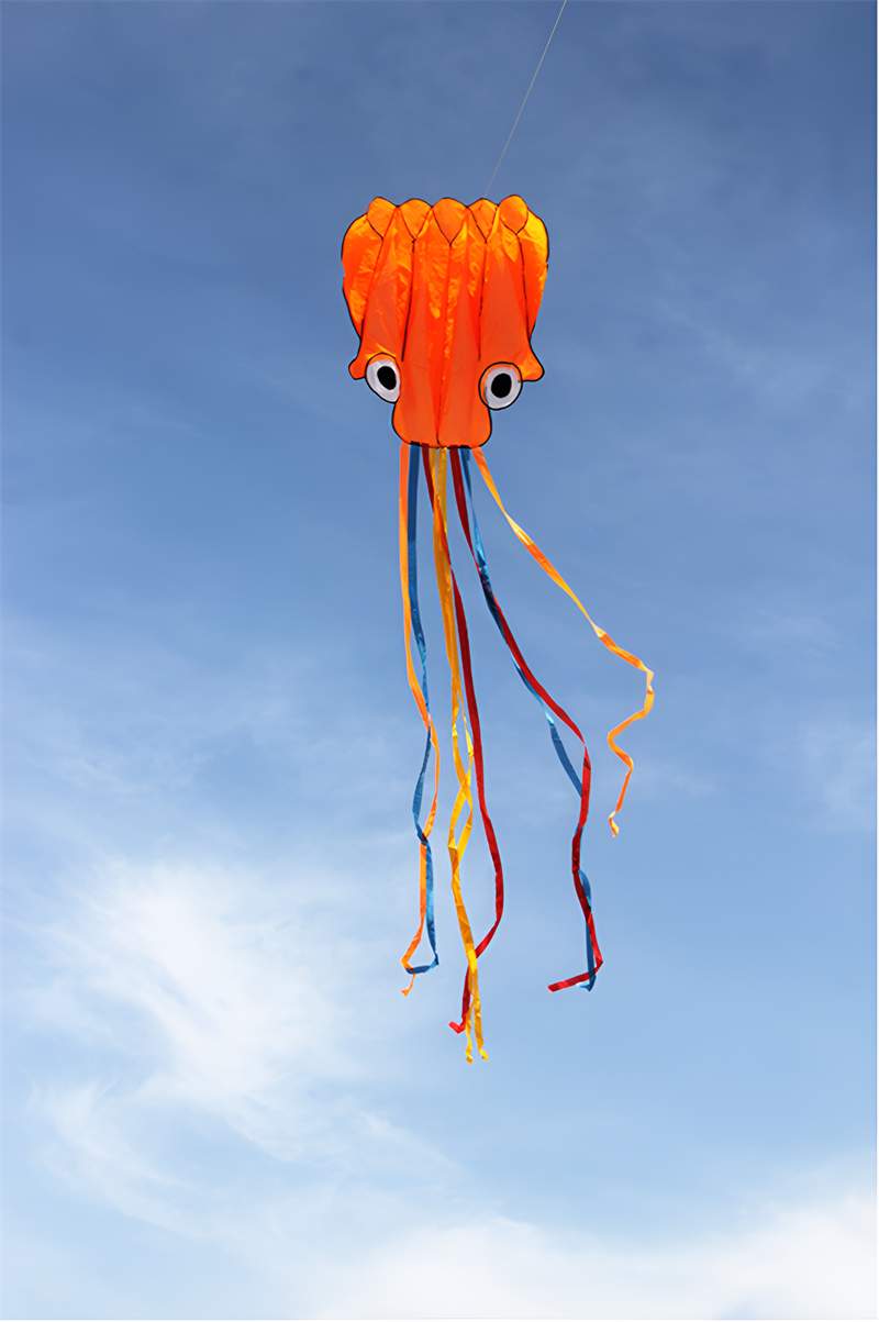 free shipping new octopus kites flying toys for children kites line professional winds kites factory adults kites kitesurf koi