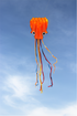free shipping octopus kite flying soft kites toys for children kite factory walk in sky outdoor fun sports beach kites koi ikite