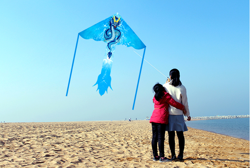 free shipping dragon kites flying toys for children kites reel nylon ripstop kites line birds kites factory japanese fish kite