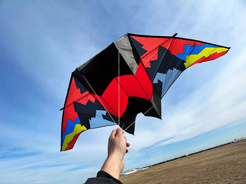 free shipping glider kites for adults kites ripstop nylon kites steering kite professional kite paraglider wing inflatable toys