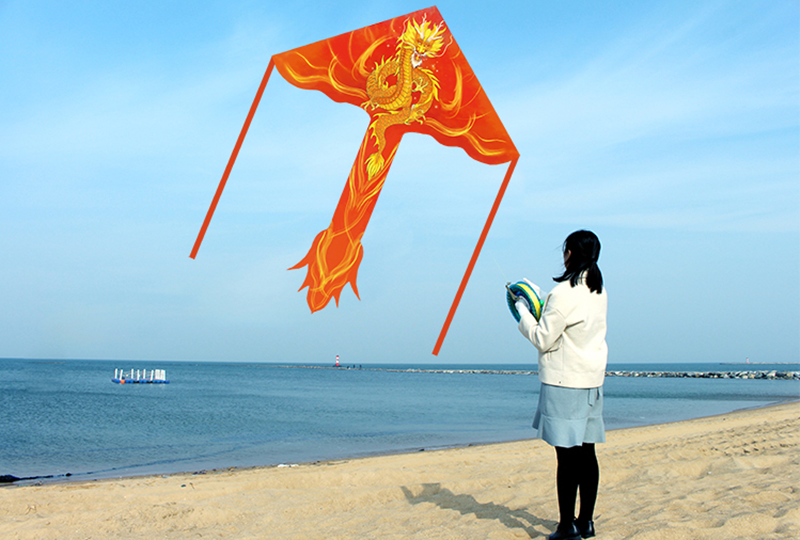 free shipping dragon kites flying toys for children kites reel nylon ripstop kites line birds kites factory japanese fish kite