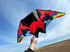 free shipping glider kites for adults kites ripstop nylon kites steering kite professional kite paraglider wing inflatable toys