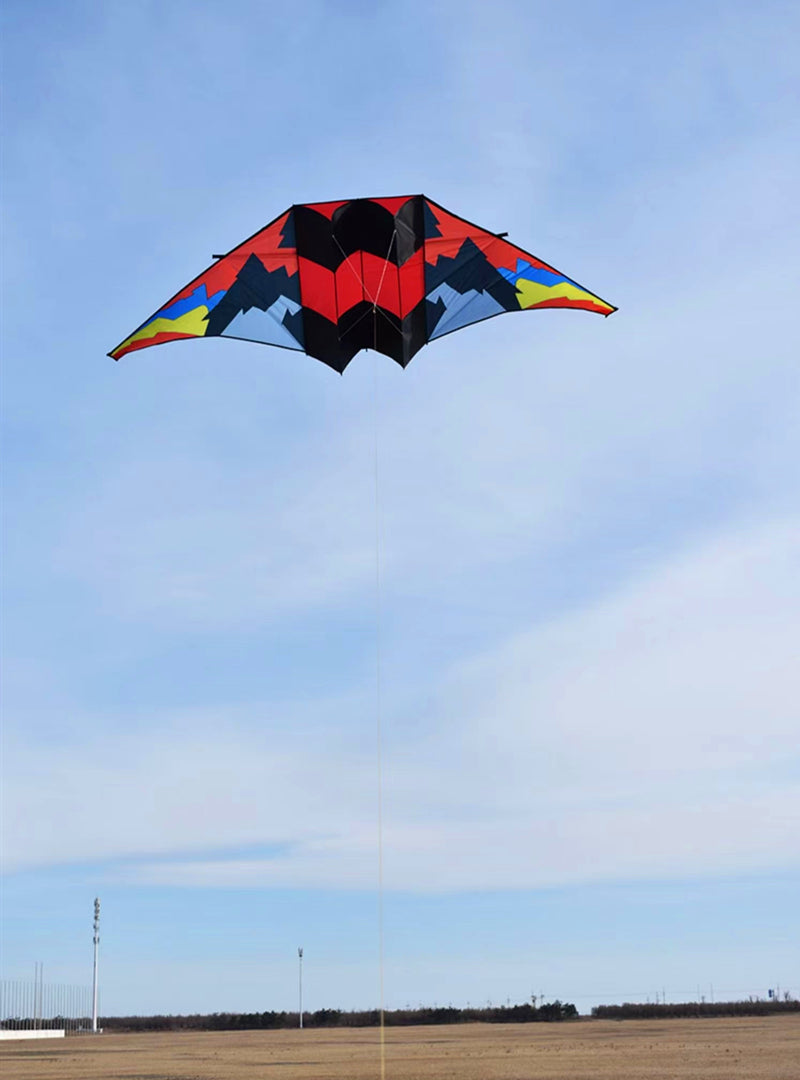 free shipping glider kites for adults kites ripstop nylon kites steering kite professional kite paraglider wing inflatable toys