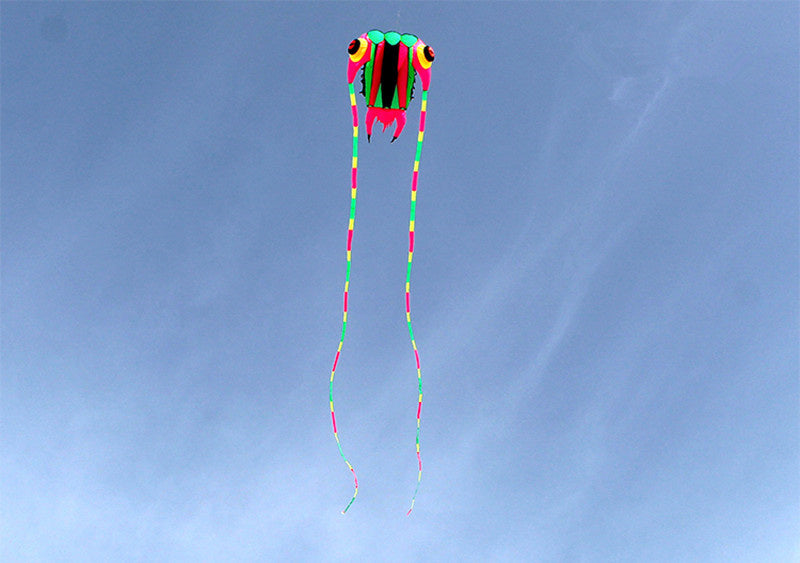 free shipping trilobites kite flying for adults kites inflatable professional kites octopus kite ikite jellyfish soft kites koi