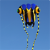 7sqm Big Trilobite Kite Pilot Lifter Line Laundry Soft Inflatable Show Kite for Kite Festival 30D Ripstop Nylon with Bag