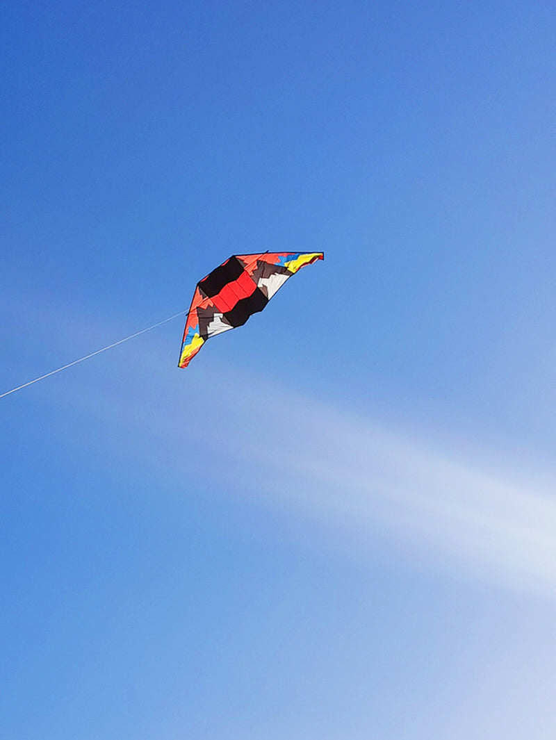 free shipping glider kites for adults kites ripstop nylon kites steering kite professional kite paraglider wing inflatable toys