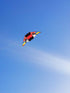free shipping glider kites for adults kites ripstop nylon kites steering kite professional kite paraglider wing inflatable toys