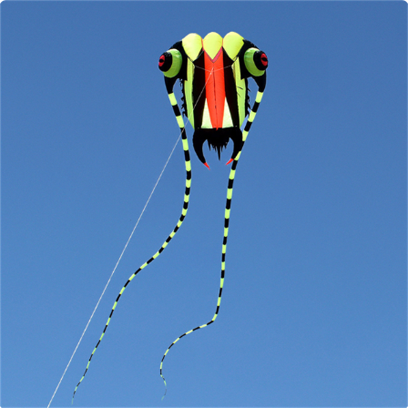 7sqm Big Trilobite Kite Pilot Lifter Line Laundry Soft Inflatable Show Kite for Kite Festival 30D Ripstop Nylon with Bag