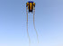 free shipping trilobites kite flying for adults kites inflatable professional kites octopus kite ikite jellyfish soft kites koi