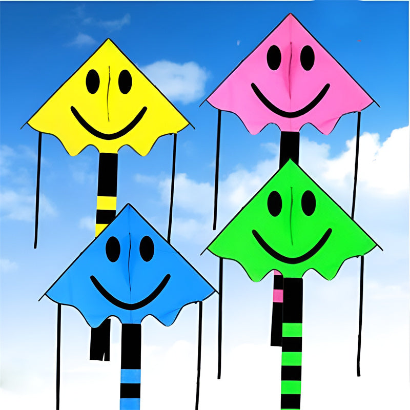 free shipping large smiling face kites children kites reel toys flying outdoor ripstop nylon kite for adults toys parachute cerf