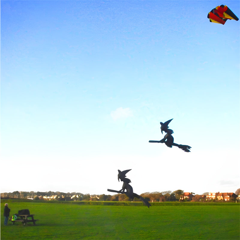 free shipping large inflatable kite Witch kite flying 3d kite for adults professional kite string line outdoor game trainer kite