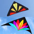 free shipping professional kites flying delta kite adults kites factory new kite string reel parachute outdoor fun sports buggy