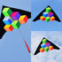 free shipping step by step kite with handle line kite fabric ripstop kite factory kitesurf cerf volant fishing accessories