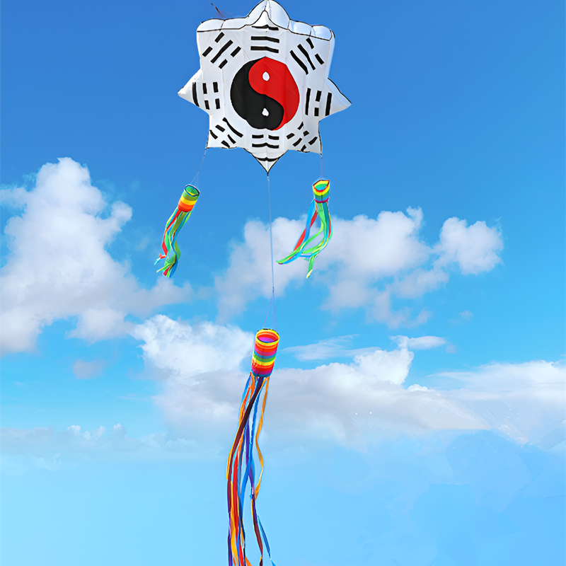 free shipping 3d kites flying soft kites gossip kite nylon ripstop giant inflatable kites Chinese traditional kites dragon kites