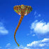free shipping elephant kite flying toys for kids kitesurf equipment whale kite flying parrot dual line kite winding machine