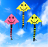 free shipping dinosaur kite flying children panda kite toys nylon kites birds kites single line kite paracaida butterfly kite