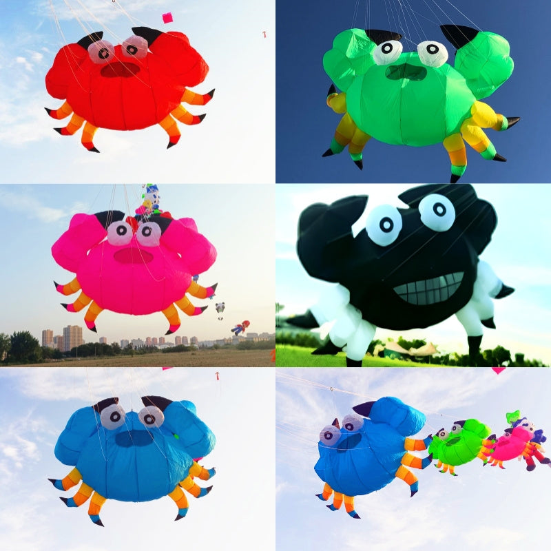 Free shipping soft kites pendant flying show kites crab kites inflatable kites factory airplane kite inflatable show kites