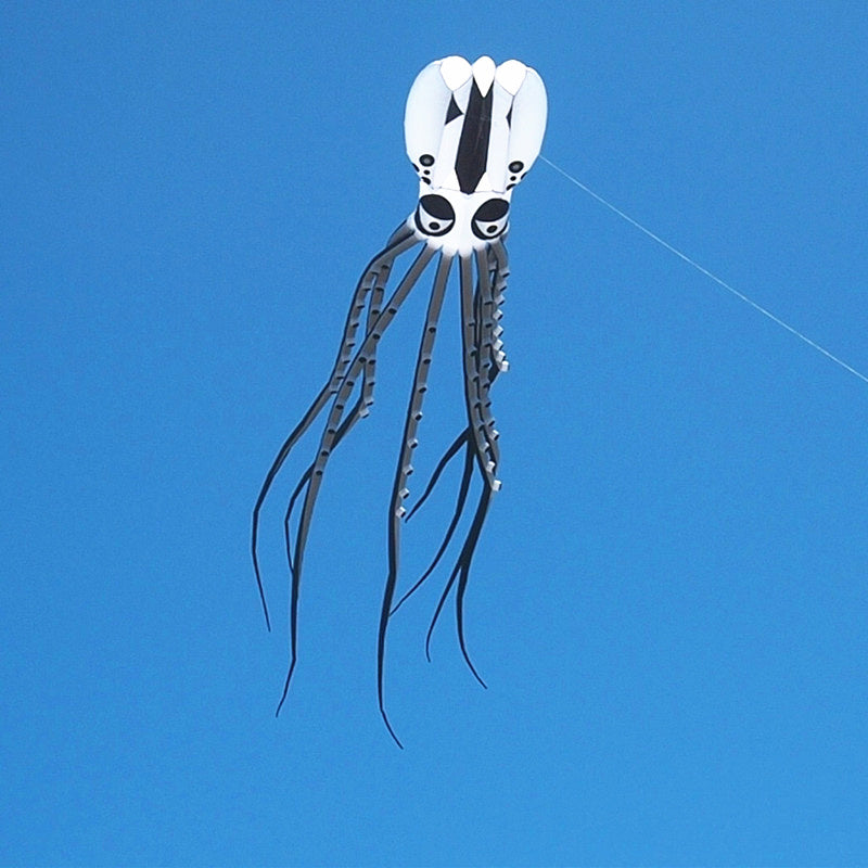 free shipping octopus kite inflatable kite flying nylon soft kites for adults professional kites factory equipment giant kites