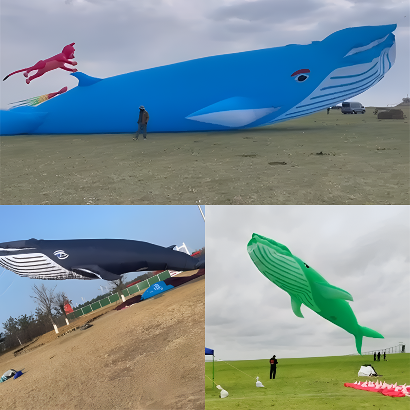 9m Pendant kite whale kite kites for adults outdoor toys Wind sock windsock inflatable kite street toys kite giant