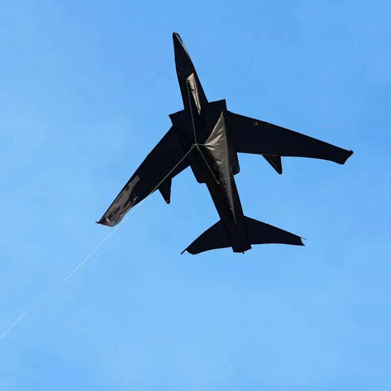 Free Shipping large kites flying plane kites for adults kites string line snake coil ripstop rainbow high wind pointer Kevlar