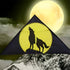 free shipping large wolf kite flying for kids wind kites adults kites string line parapent cerf paragliding parplan outdoor toys