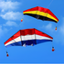 free shipping glider kites for adults kites ripstop nylon Power kite flyingbear rainbow high paper dragon snake coil cometa