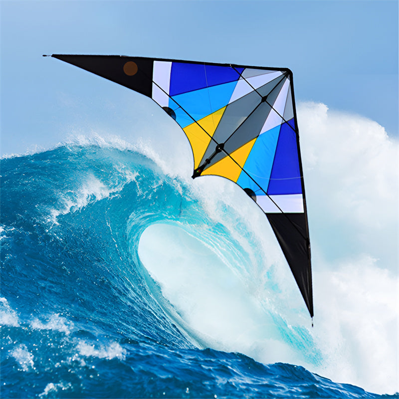 free shipping 255cm dual line stunt kite thunder wing power kite line speak loudly professional wind kites for adults kites reel