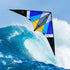 free shipping 255cm dual line stunt kite thunder wing power kite line speak loudly professional wind kites for adults kites reel