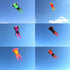 free shipping fish kite flying for adults kites goldfish kite sport professional kites large inflatable kite surf cerf parachute