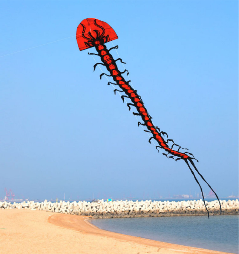 free shipping centipede kite flying adults kites factory professional wind kites line windsurfing sail flying dragon for kids
