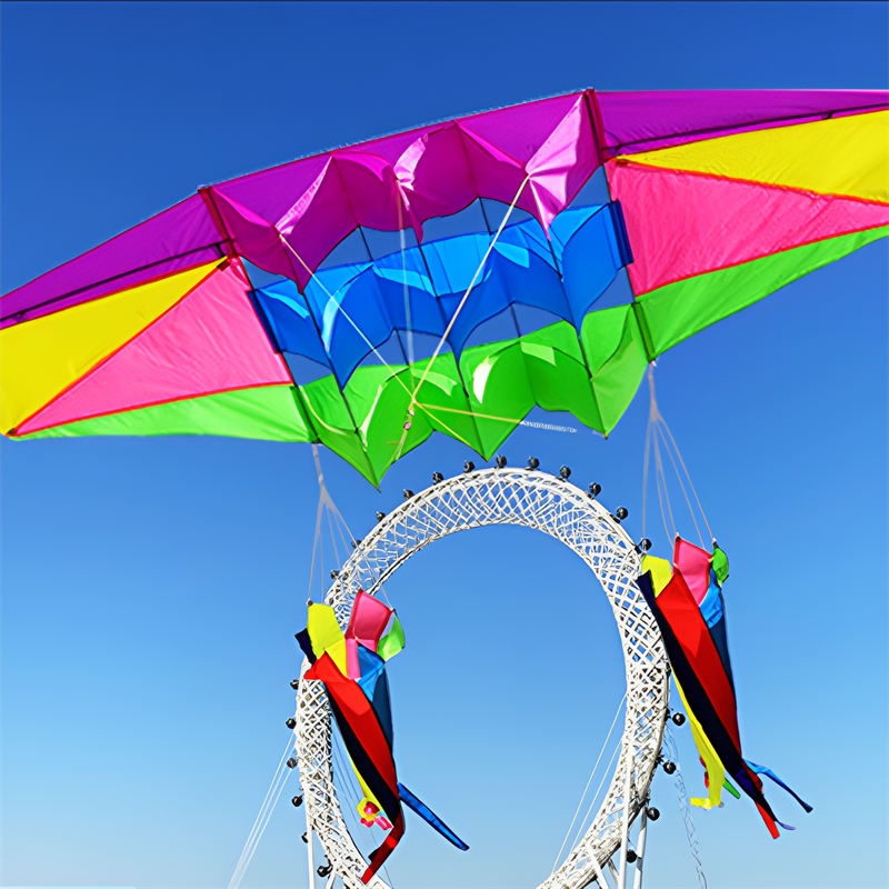 free shipping 2.5m Radar kites flying for children kites glider kites toys parafoil kite 3d kites professional paragliding adult