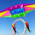 free shipping 2.5m Radar kites flying for children kites glider kites toys parafoil kite 3d kites professional paragliding adult