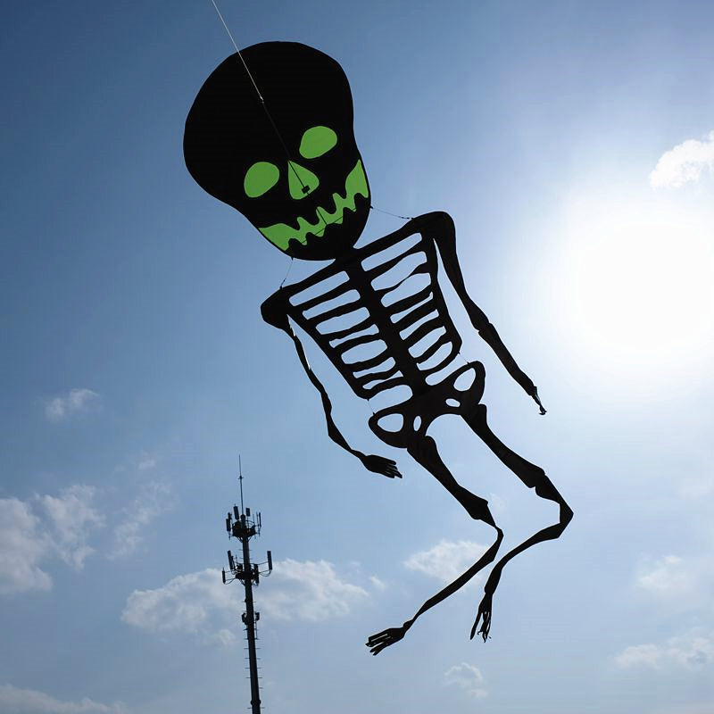 Free Shipping Skull kites flying 3d kites for adults inflatable games kite air kites for professional wind power plane kite