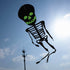 Free Shipping Skull kites flying 3d kites for adults inflatable games kite air kites for professional wind power plane kite