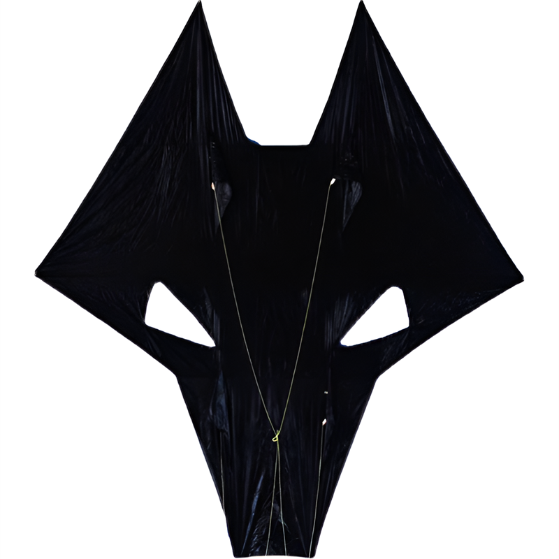 Free shipping New Weifang wolf head totem kite adult large anti-gale triangle kite professional high-grade breeze easy to fly