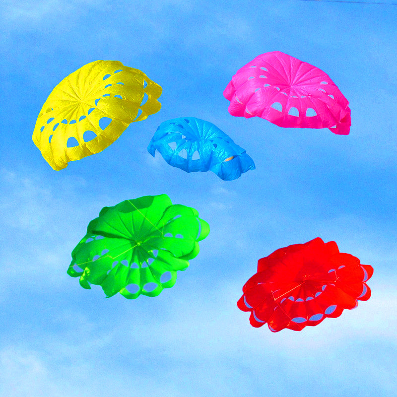 free shipping dual Line Stunt power Kite soft kite flying Parafoil kitesurf outdoor fun sports beach kiteboard ikite factory toy
