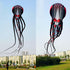free shipping large Capricorn octopus kite for adults kites parachute nylon kite surf outdoor game toys professional kite fabric