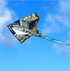 Free shipping 2023 new Weifang bird lion god beast size kite children breeze easy to fly handheld line roulette adult special