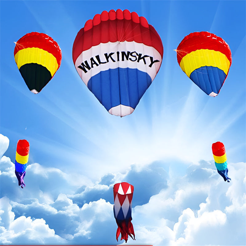 free shipping large inflatable kite hot air balloon kite flying for adults professional kites windsock kitesurf equipment koi