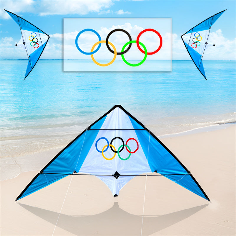free shipping dual Line stunt kite flying professional wind kites for adults kite surf kite string power kite new beginner koi