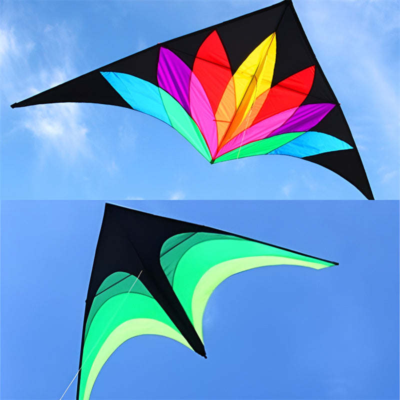 free shipping 2m large delta kite flying toys line kids kites factory delta kites flight kite string reel beach wind parrot game