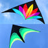 free shipping 2m large delta kite flying toys line kids kites factory delta kites flight kite string reel beach wind parrot game