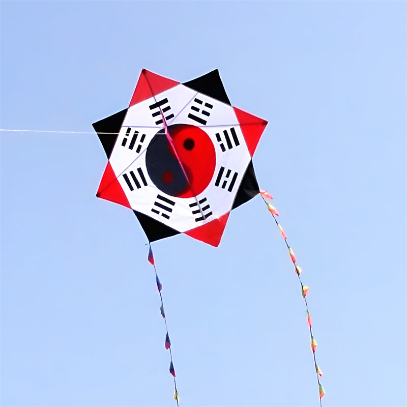 free shipping gossip kite flying toys for kids ripstop nylon fabric outdoor traditional kite string adults kite reel hot sell