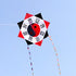free shipping gossip kite flying toys for kids ripstop nylon fabric outdoor traditional kite string adults kite reel hot sell
