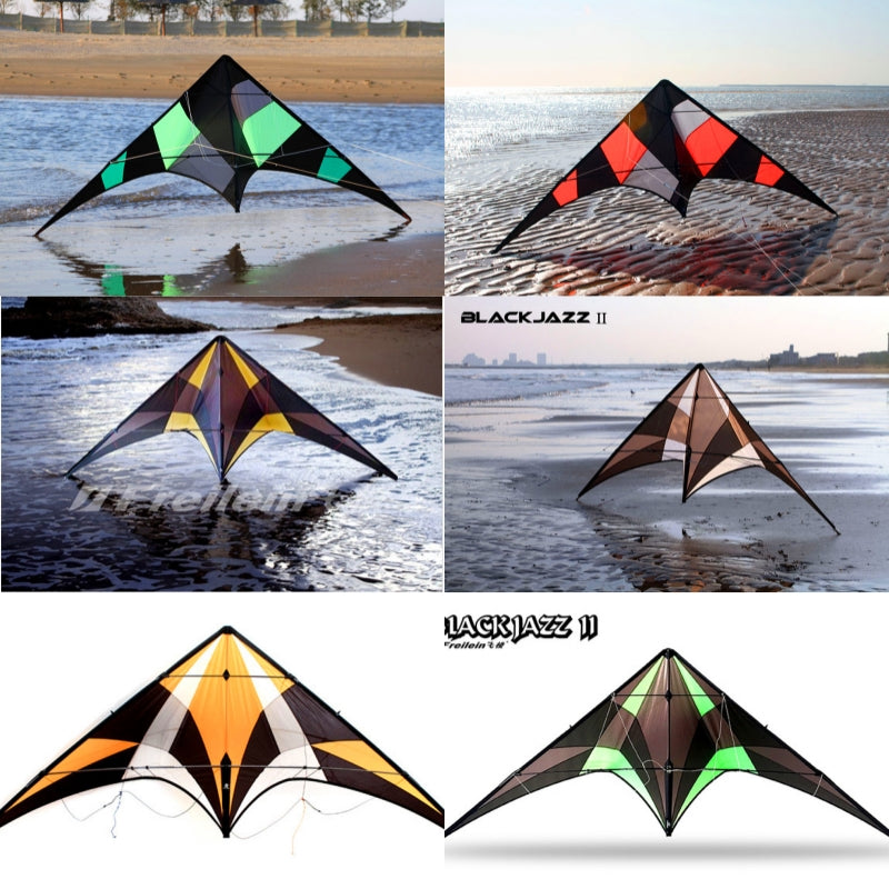 free shipping Freilein kite Factory dual line stunt kite flying professional wind kites for adults reel parapent voar pipe koi