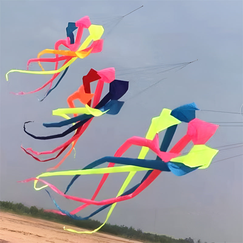 free shipping high quality 6m rainbow windsock kite flying large kites adult kite reel ripstop nylon kite wind kites bat kites