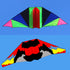 free shipping glider kites for adults kites ripstop nylon kites steering kite professional kite paraglider wing inflatable toys