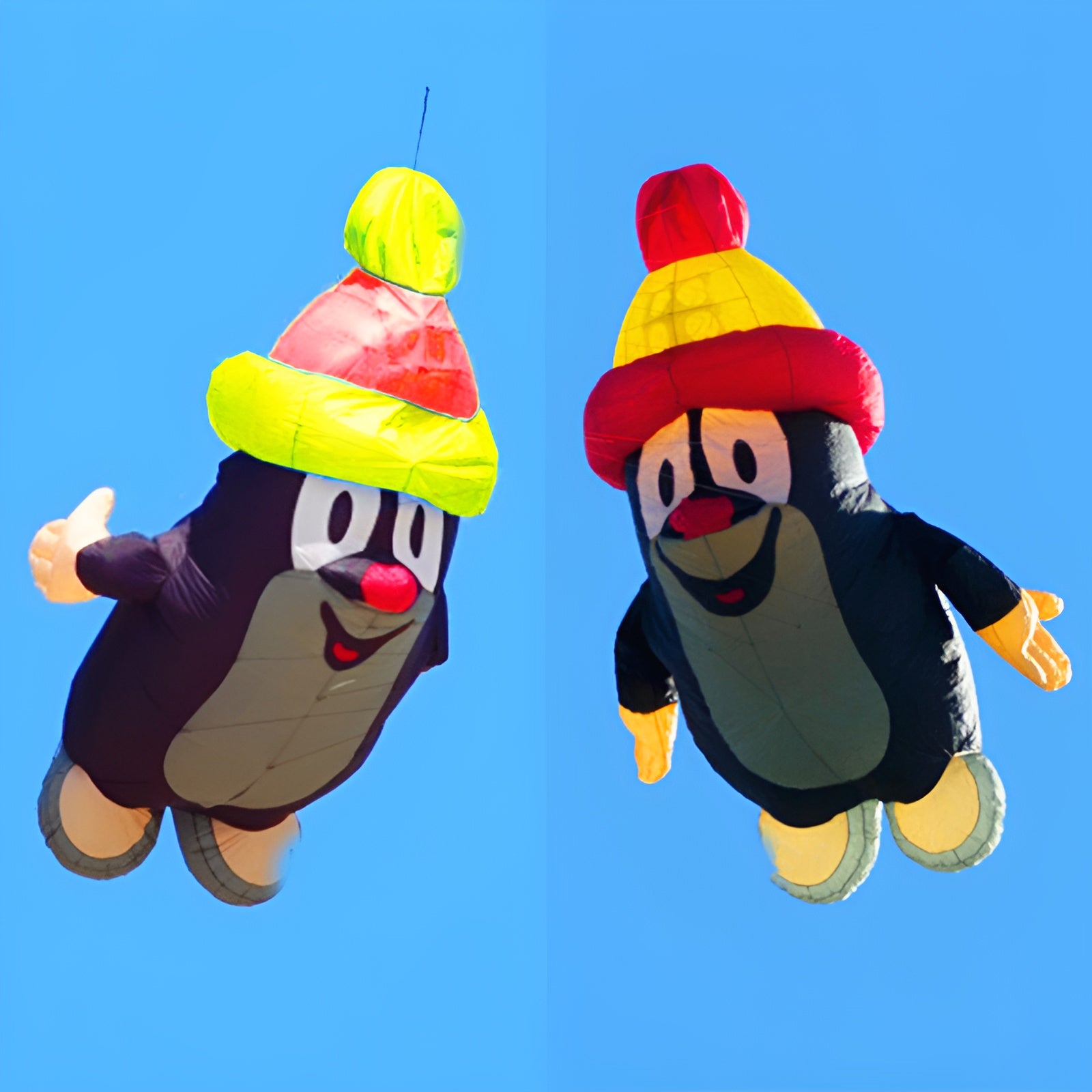 Free Shipping soft kites pendant kites shows inflatable kites factory kites for kids cometas cerf volant avion windrad
